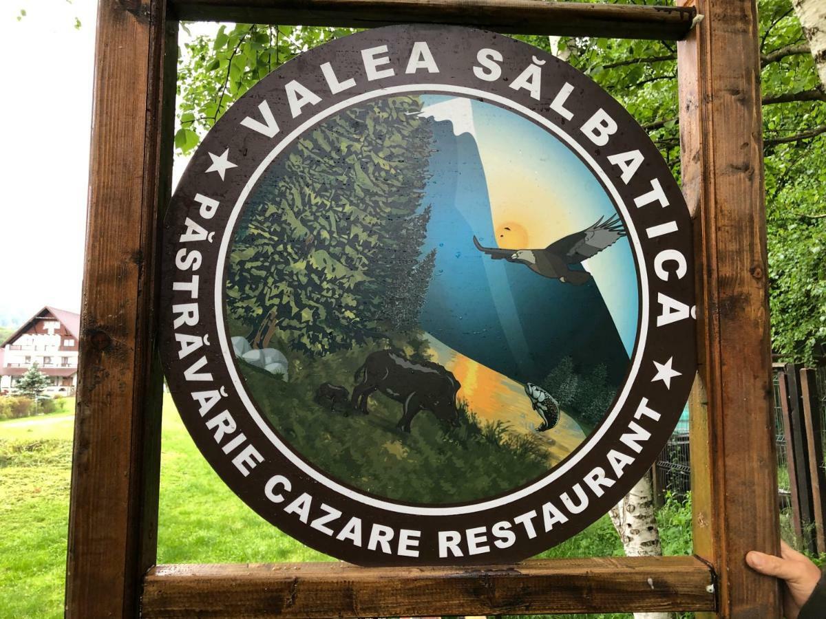 Valea Salbatica Hotel Sinca Noua Exterior photo